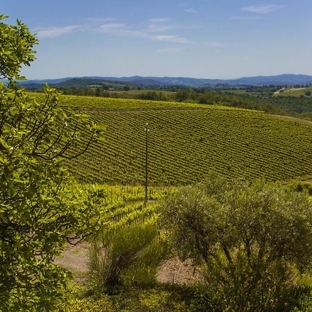 Fattoria Di Magliano Winery Villa Magliano in Toscana Rum bild