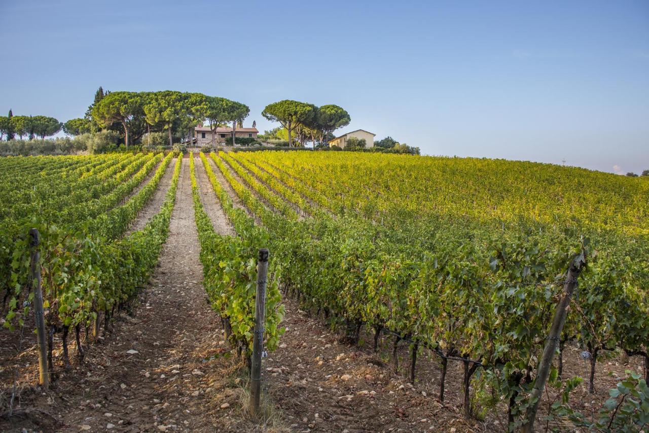 Fattoria Di Magliano Winery Villa Magliano in Toscana Exteriör bild