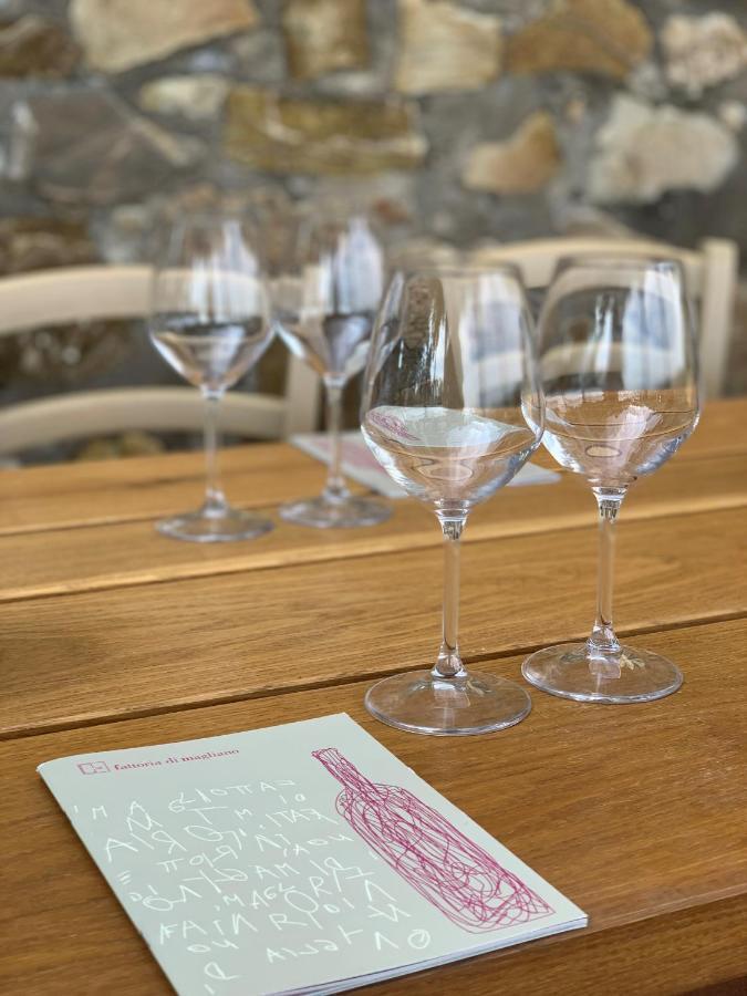 Fattoria Di Magliano Winery Villa Magliano in Toscana Exteriör bild