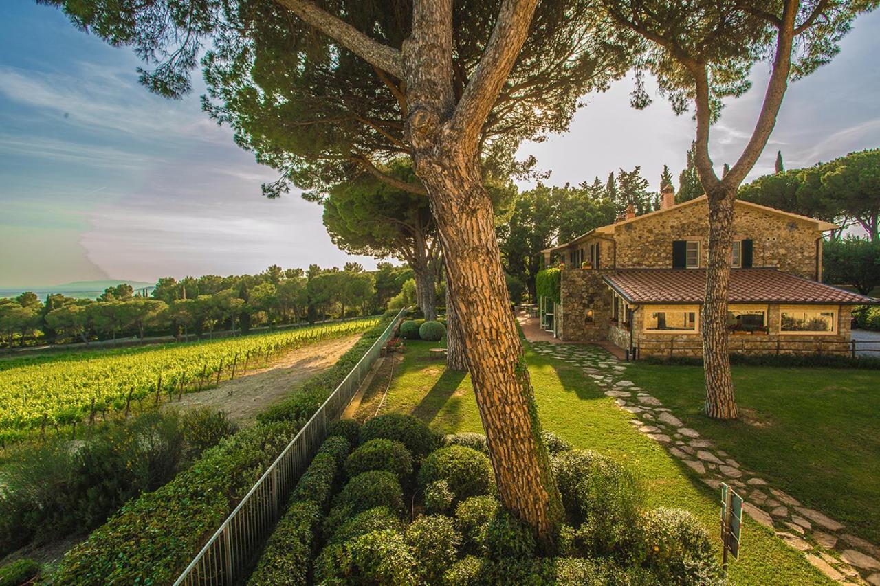 Fattoria Di Magliano Winery Villa Magliano in Toscana Exteriör bild