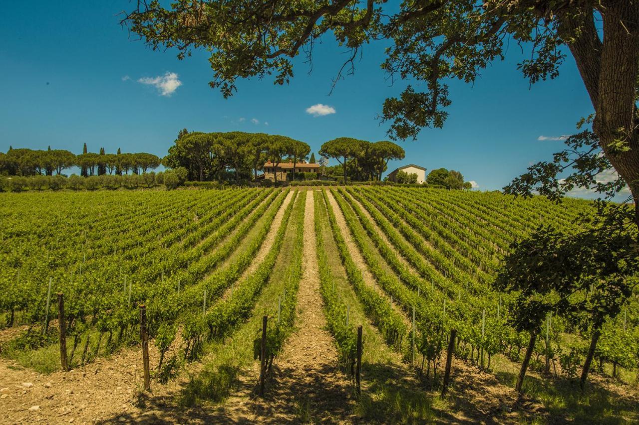 Fattoria Di Magliano Winery Villa Magliano in Toscana Exteriör bild