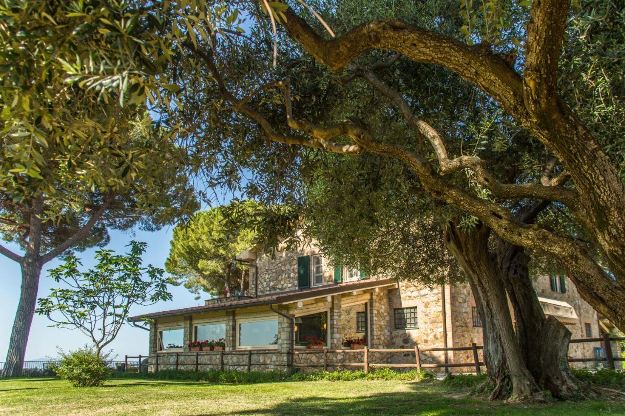 Fattoria Di Magliano Winery Villa Magliano in Toscana Exteriör bild