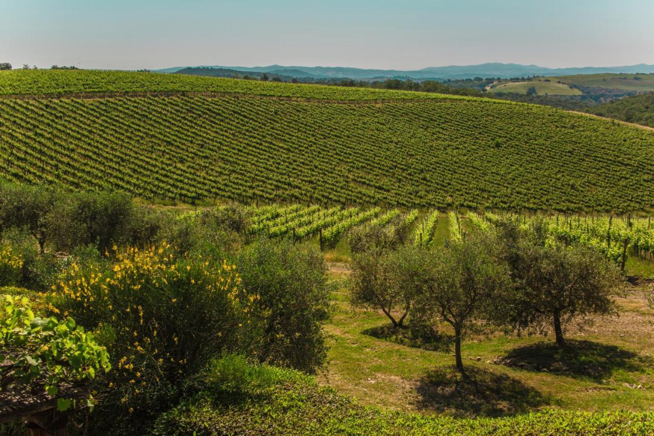 Fattoria Di Magliano Winery Villa Magliano in Toscana Exteriör bild